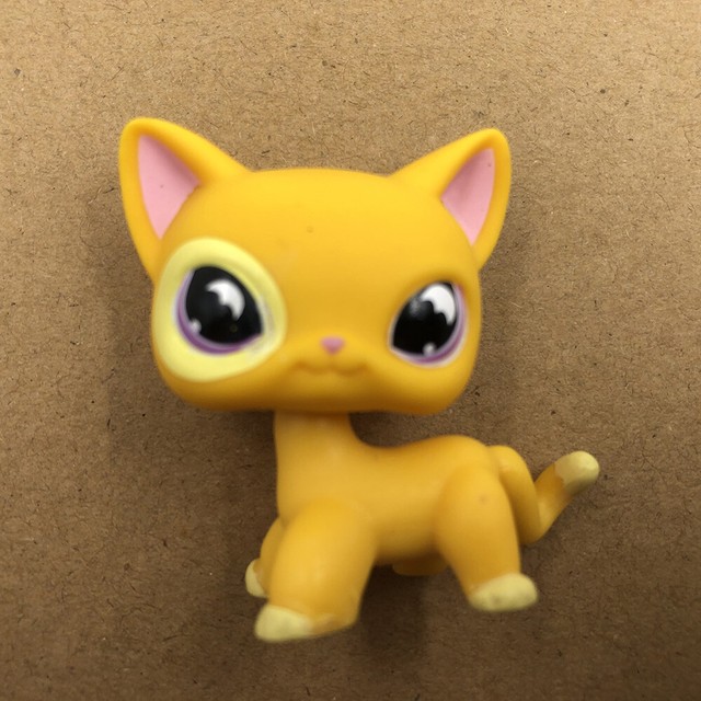 rare lps cats