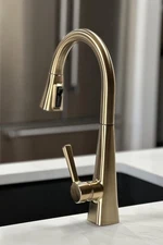 Delta Lenta 19802Z-CZ Brushed Gold Single Hole Kitchen Faucet Sprayer