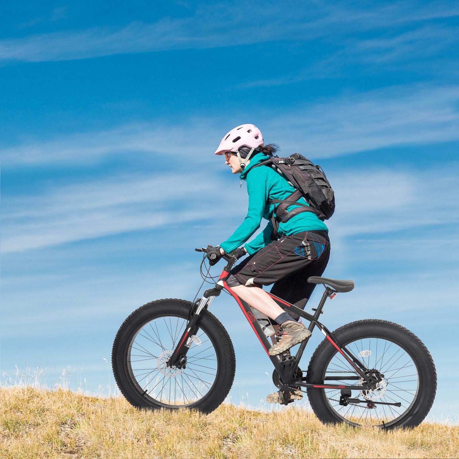 26in 4.0 Fat Tire Mountain Bike High Carbon Steel Shimano 21 Speed MTB Bicycle