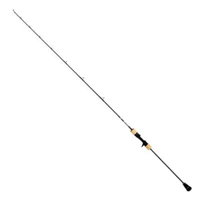 Daiwa SALTIGA SJ AGS 55B-2 TG Baitcasting Rod | eBay