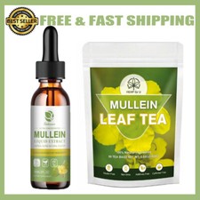 Natural Mullein Drops Mullein Leaf Tea For Lung Cleanse Respiratory Health