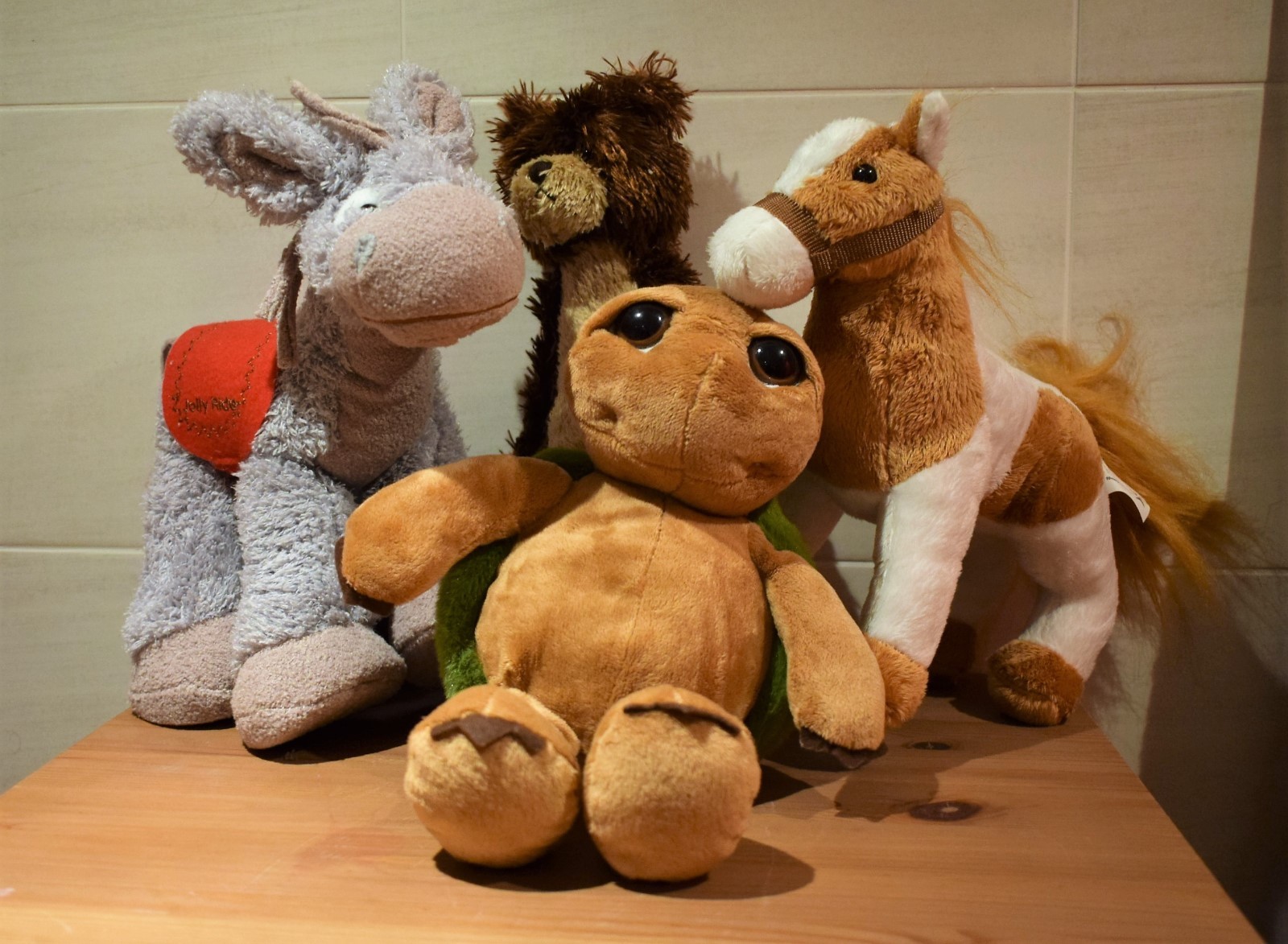 large donkey teddy