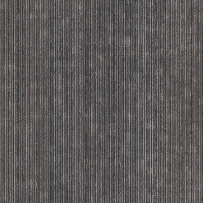 Shaw 54925 Philadelphia Commercial Cipher 18'' x 36'' Glue Down - Virtual