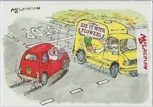 Road Rage Funny card say with flowers Cactus off