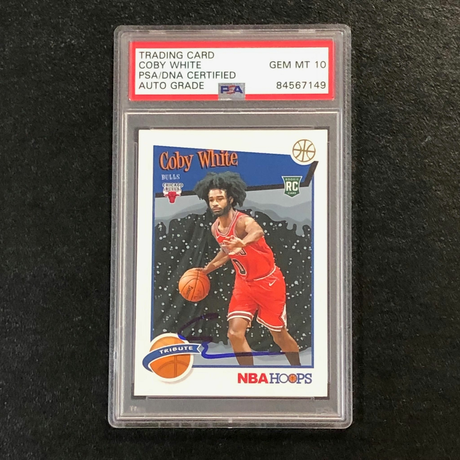 2019-20 NBA Hoops Winter Tribute #295 Coby White Signed Card AUTO 10 PSA  Slabbed | eBay
