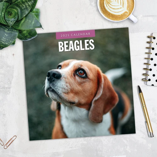 Beagles 2025 Square Wall Calendar