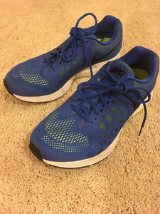 zoom pegasus 31 mens