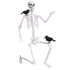 Wocst 6Ft Life Size Skeleton Posable Skeleton with Movable Joints Halloween ...