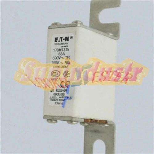 .1Pcs EATON BUSSMANN 170M1315 Fuse Brand new