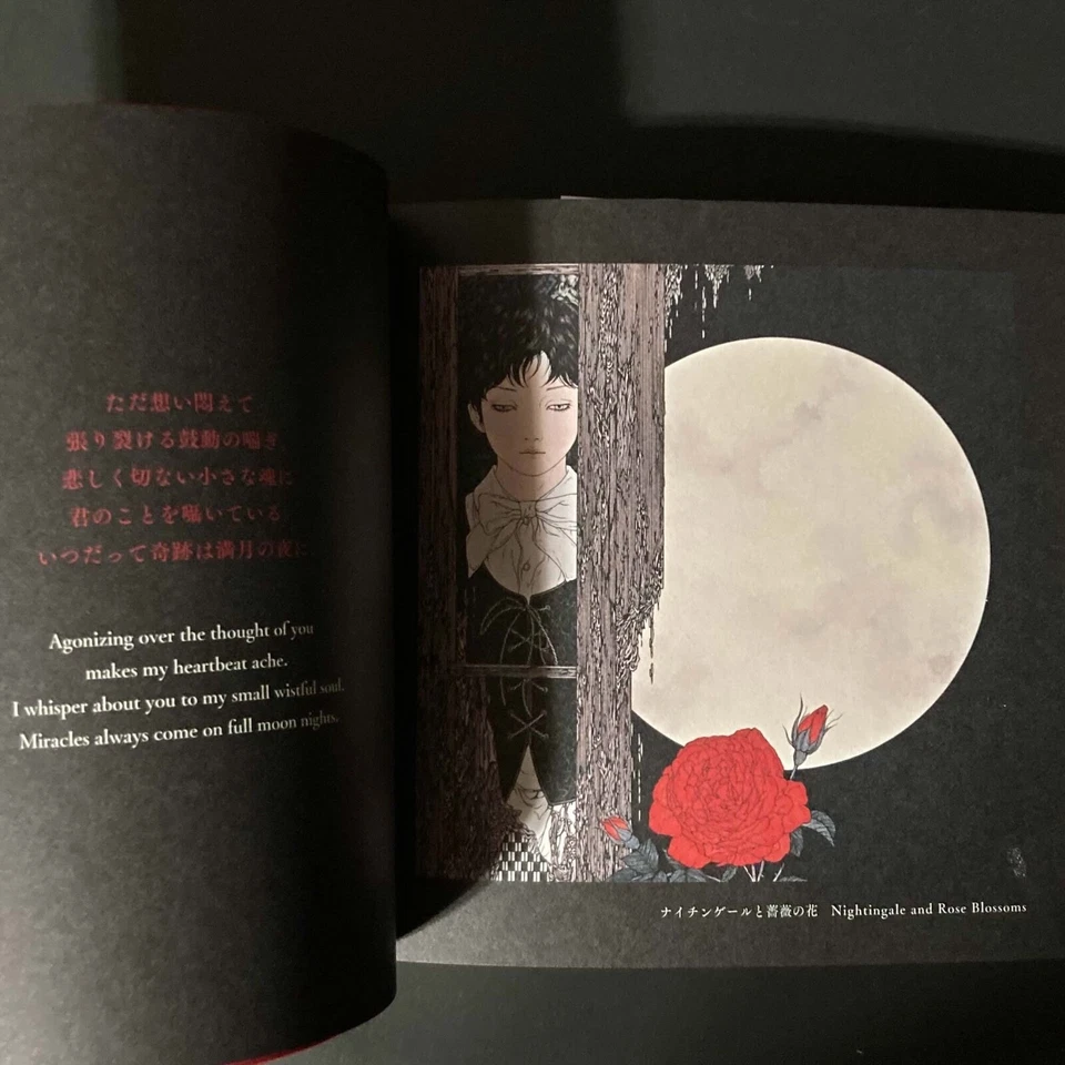Takato Yamamoto Vampire's Box Japan Gothic Art Book Ukiyoe Pop NEW - Image 2 of 3