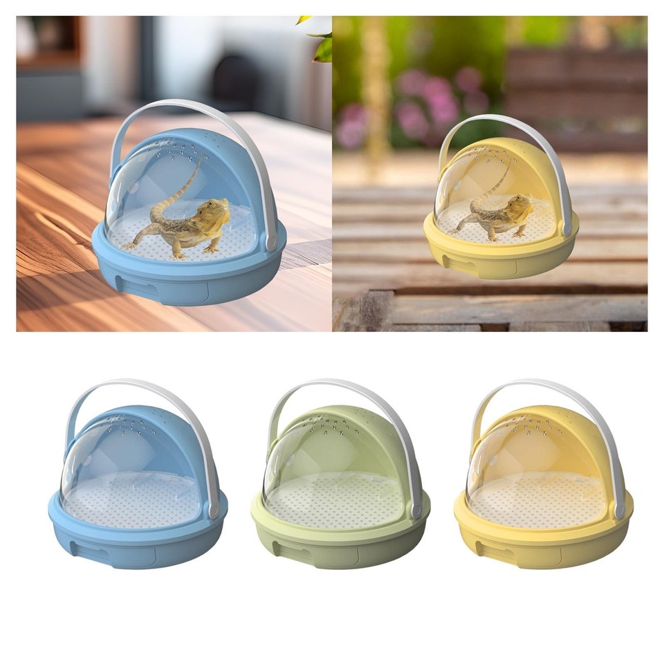 Reptile Feeding Box Tarantula Enclosure for Office Invertebrates Hermit ...