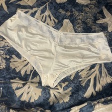 Vintage Second Skin Brief Liquid Satin Panties XL Cream Polka Dot Mesh Trim Nice