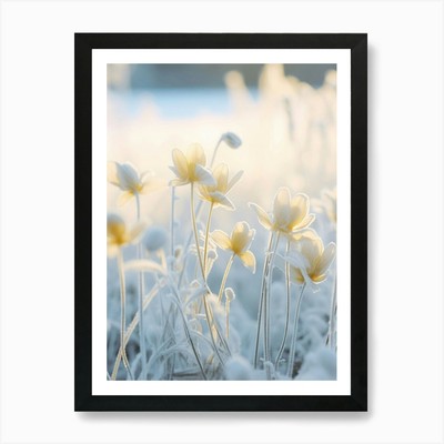 Frosty Botanical Winter Aconite 3 A gerahmtes Wandbild Poster Leinwanddruck Bild