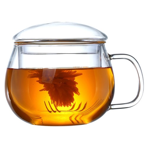 Heat Resistant Clear Glass Teapot With Infuser Tea Coffee Maker
