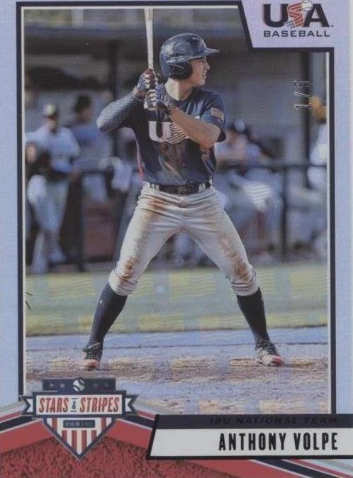 Longevity Black Us Flag