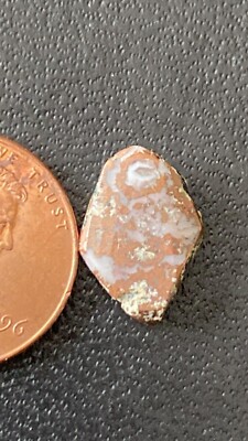 Cool Diamond-shaped Lake Superior Copper Replacement Agate with orange highlight