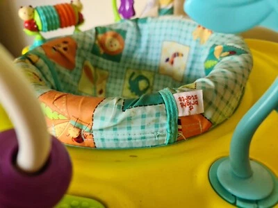 bright starts safari activity centre