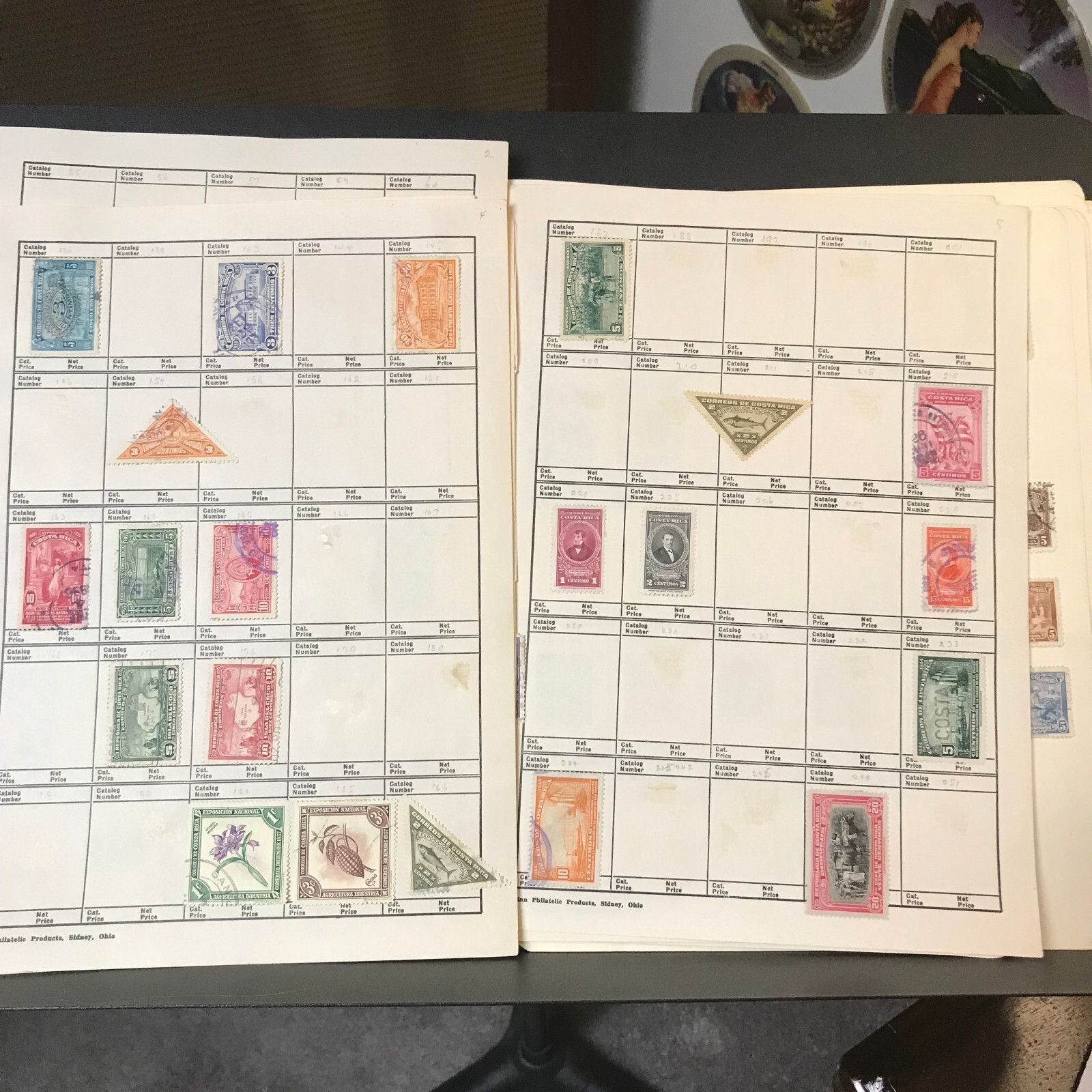 Picture 10 of 24