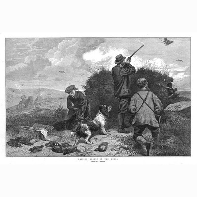 Driving Auerhuhn on the Moors von GR Goddard - antiker Druck 1876