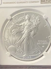 2024 NGC MS69 AMERICAN SILVER EAGLE ~ BROWN LABEL ~ 1 OZ .999 SILVER