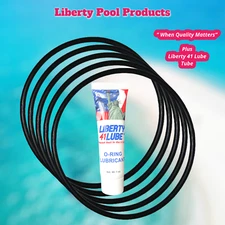 SPX4000T NorthStar Pool Pump Seal Plate  Replacement For Hayward   5-PACK + LUBE