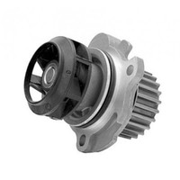 Magneti Marelli Water Pump 352316171165