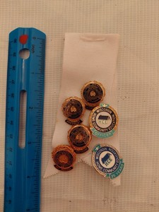 Vintage National Extension Homemakers Council Wisconsin HCE Pin Lot on Ribbon