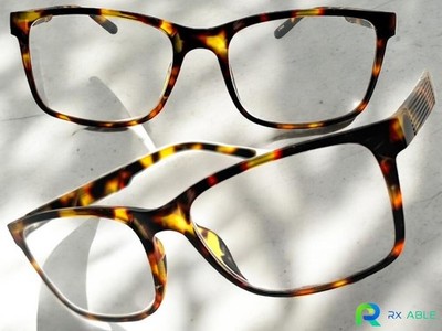 Contemporary Modern Retro READING EYE GLASSES READERS Large Tortoise Frame +3.50