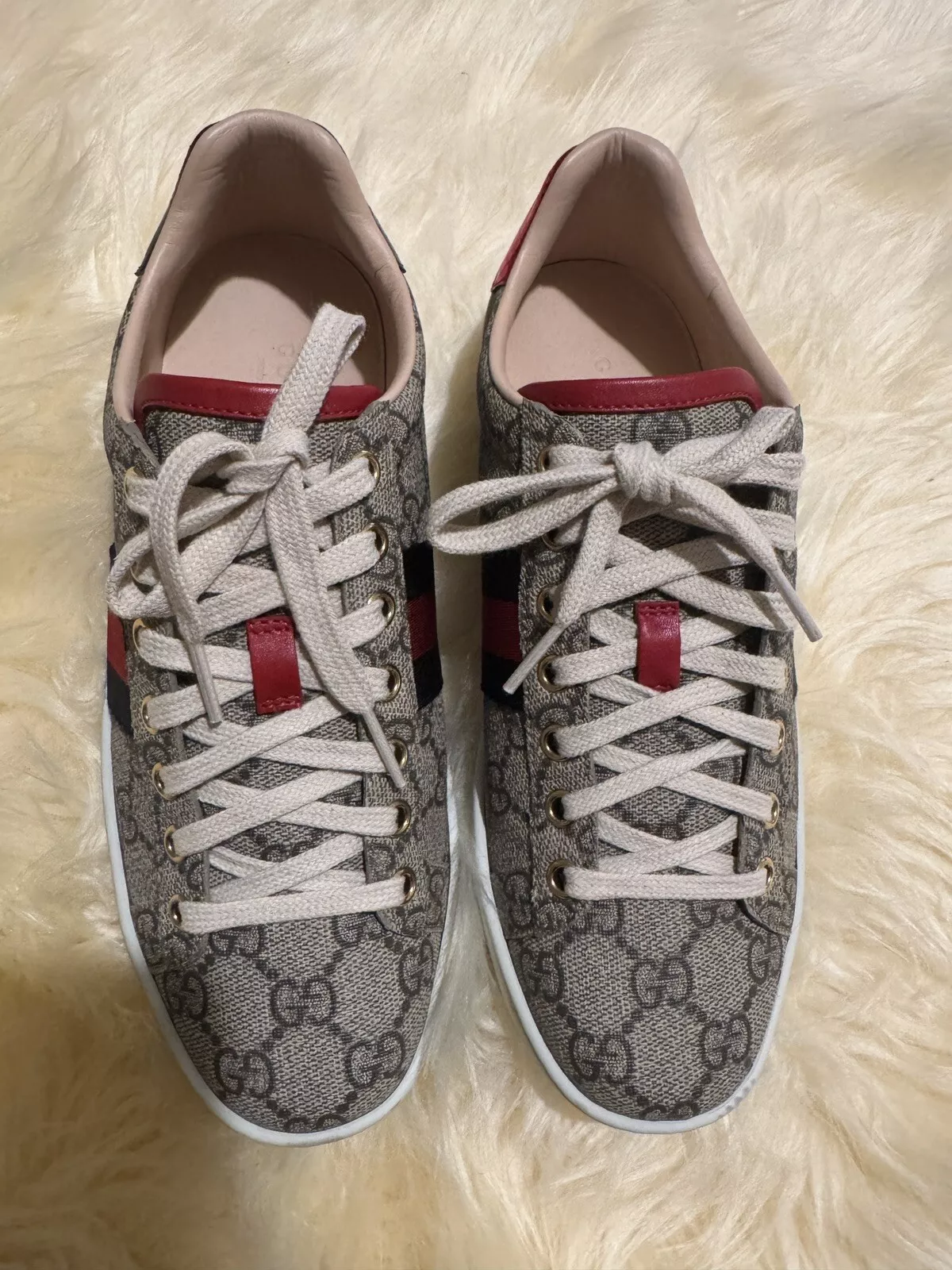 Baskets Gucci femme Ace 37