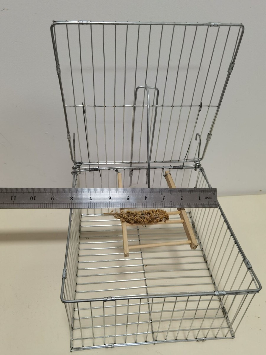 ログコレクション　birdcage Amazon.co.jp: ONE PIECE Log Collection “BIRDCAGE