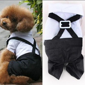puppy wedding outfits