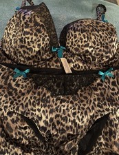 Leopard Print Corset With Matching Panty Set From Lane Bryant