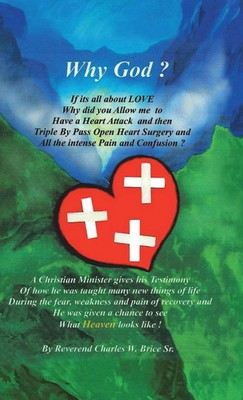 Sr. Reverend Charles W. Brice | Why God? | Buch | Englisch (2014) | Gebunden