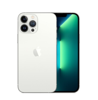 iPhone 13 Pro Max with TikTok