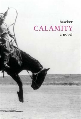 Calamity (Hardback or Cased Book)