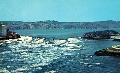 Saint John New Brunswick Rapids at Reversing Falls River Vtg Postcard View UNP