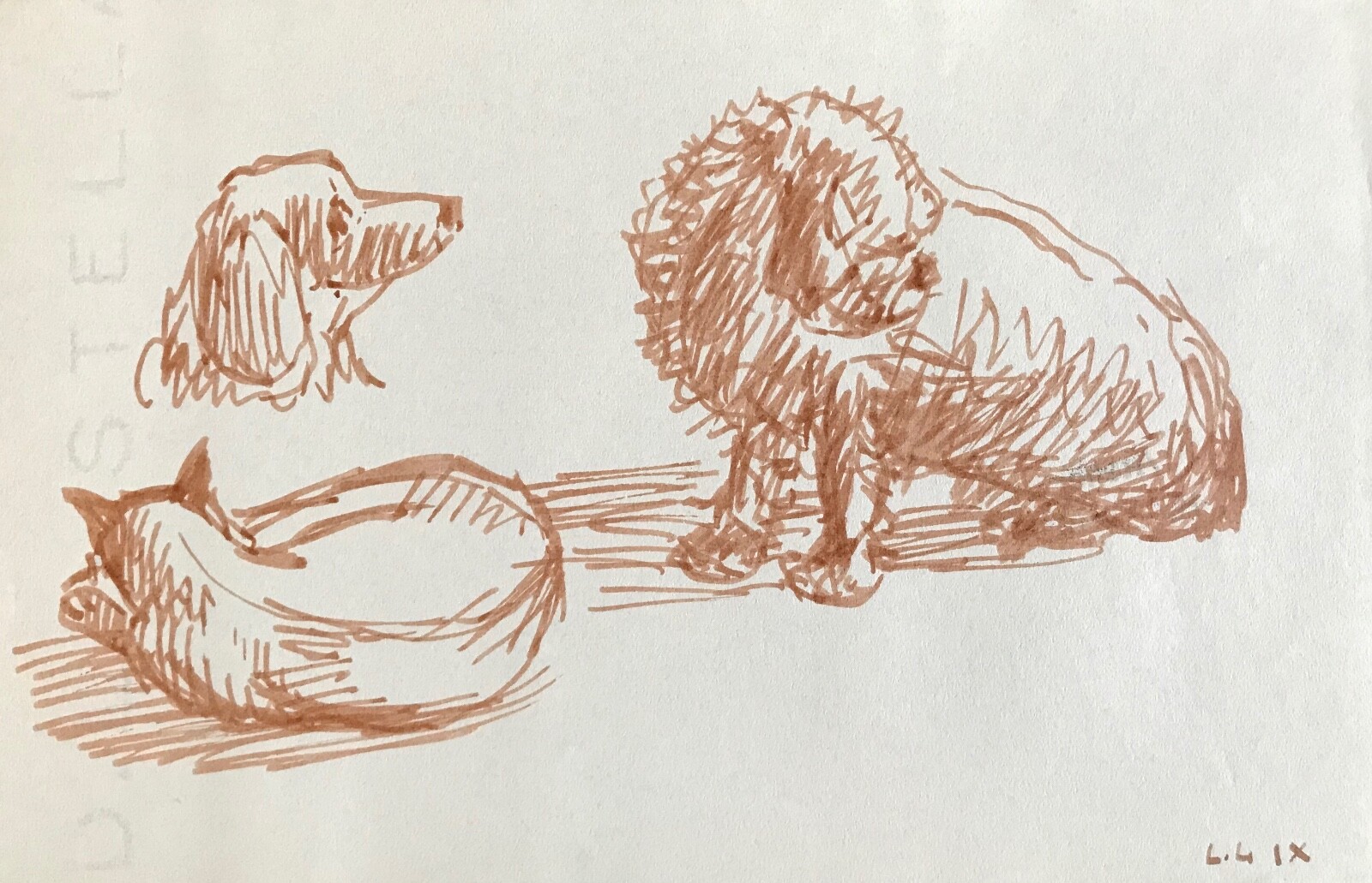 Hélène Vogt Original Ink Drawing Dog 22 Artwork