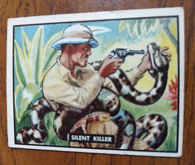 1950 Topps Bring Em Back Alive #56 Silent Killer Giant Python Attack