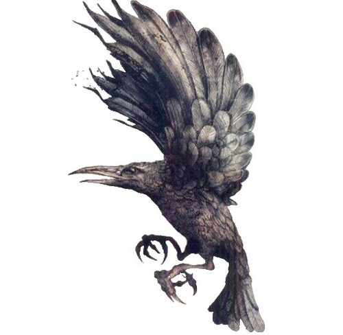 【CD】Merzbow – Cloud Cock OO Grand Cloud Cock OO Grand | Merzbow | Urashima