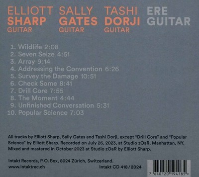 ELLIOTT SHARP/SALLY GATES ERE GUITAR NEW CD