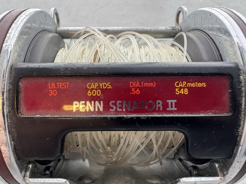 PENN SPECIAL SENATOR 4/0 113HLW FISHING REEL WORKING - Picture 3 of 6