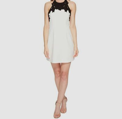 halston heritage mini dresses Halston Sleeveless High Neck w/ Embroidered Top Women's Dress : 6