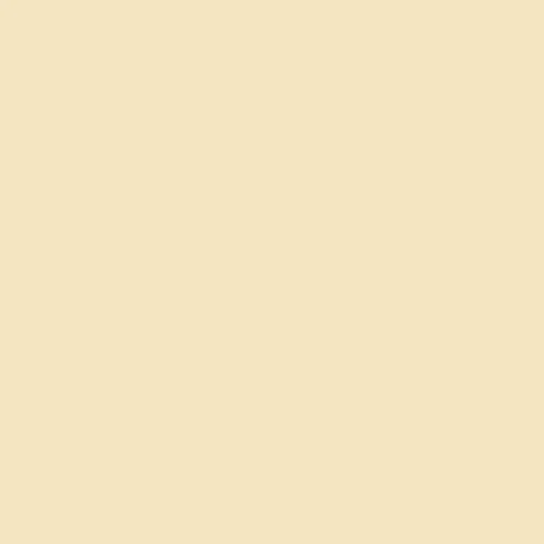 Papago 250 Feuilles Chamois Beige A4 Papier Cartonné Mat 160gsm - Photo 1/1