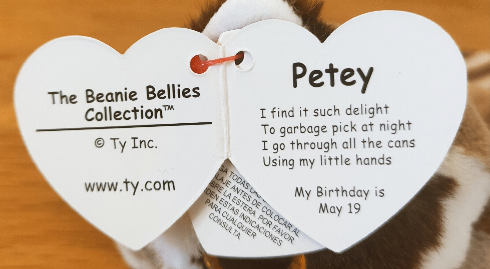 Ty Beanie Bellies Petey der Waschbär Sammlungsauflösung gut