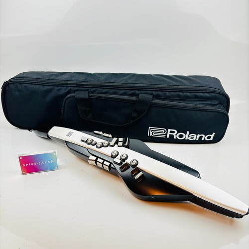 ROLAND Aerophone AE-20 AE20 Digital Wind Instrument Synthesizer Used Japan