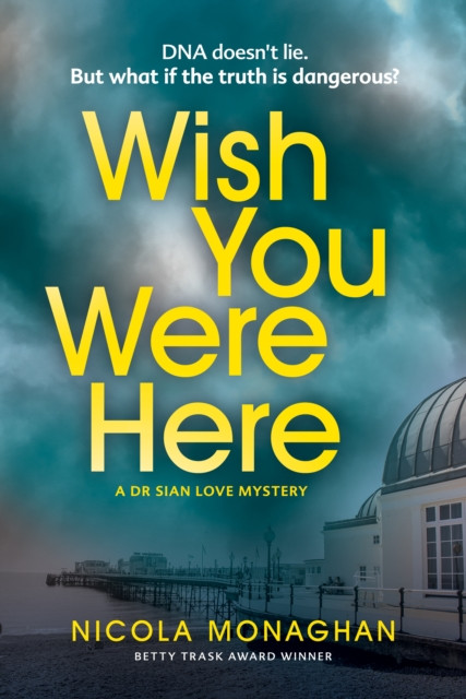Wish You Were Here by Nicola Monaghan (Paperback Book)