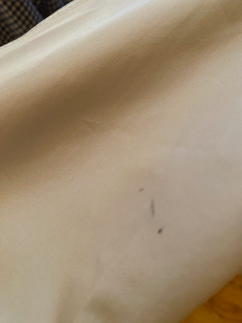 Bild 24 von 24