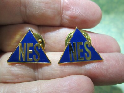 Nehs Pin VTG: NES National Estimating Society Blue & Gold Tone Lapel Pin - Lot ...