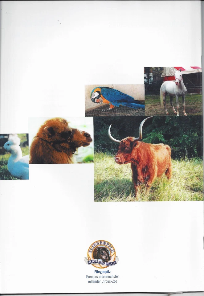 Circus Fliegenpilz Zoo Tierschau Führer Zirkus Cirque Circo Fotos Beschreibungen - Bild 2 von 2