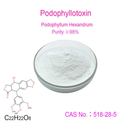 Podophyllum Hexandrum Extrakt 98% Podophyllotoxin Podophyllin Pulver Cas518-28-5 - Bild 1 von 1